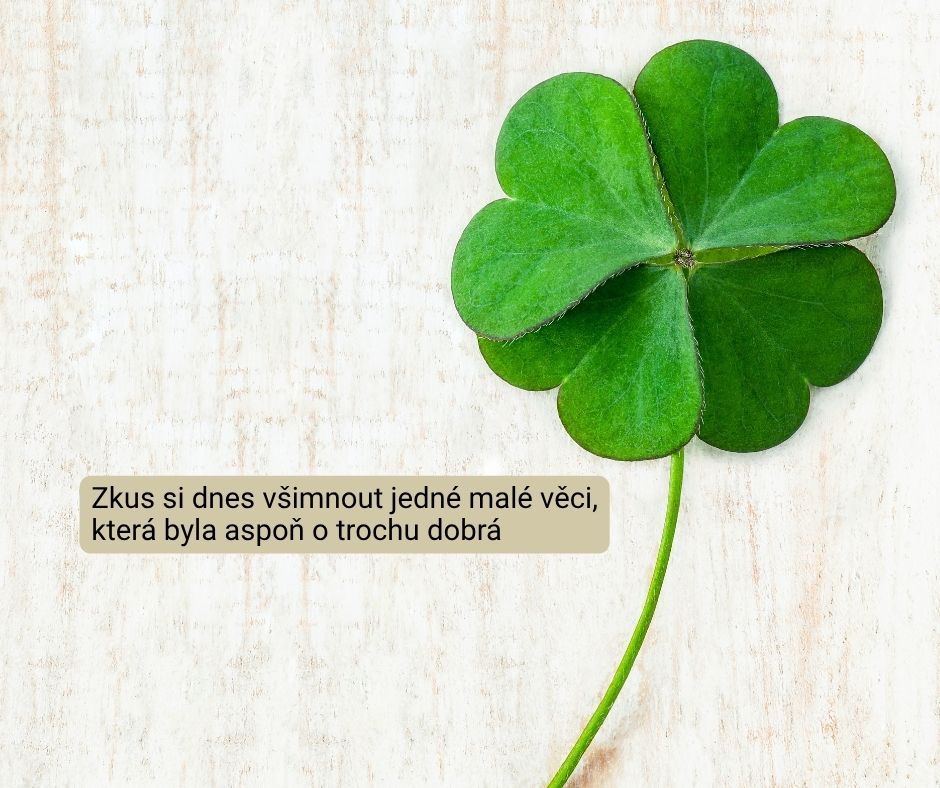 světový den štěstí, blog